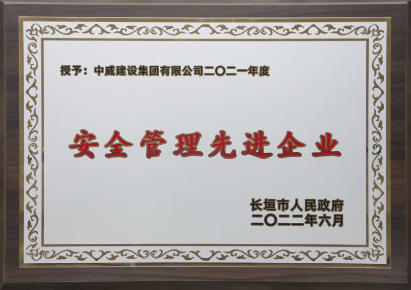 公司荣誉