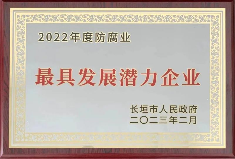 公司荣誉