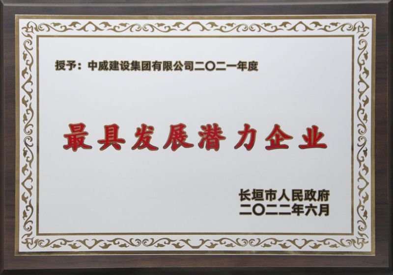 公司荣誉
